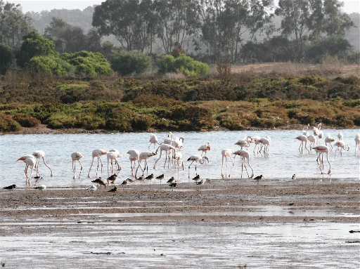 Agadir Birds Valley