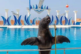 Agadir Dolphin World