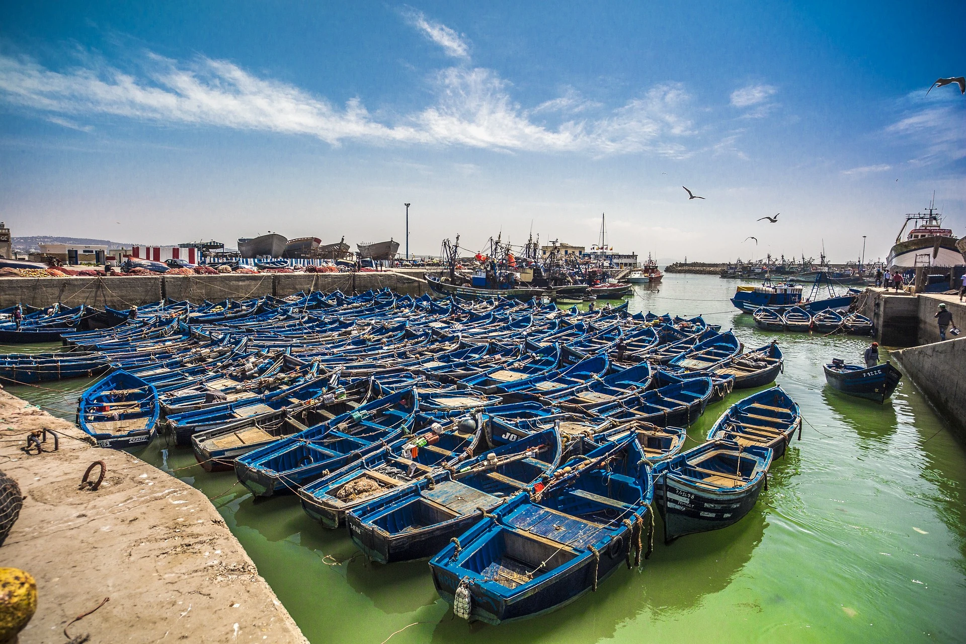 Agadir Fishing Port